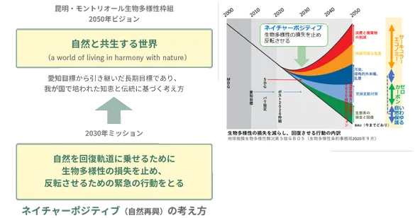 ネイチャーポジティブの考え方 図